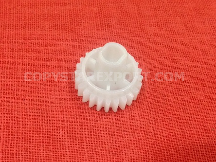 GEAR, 24T (DEVELOPER ASS'Y)