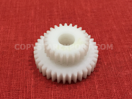 GEAR, 24T/36T - TEFLON